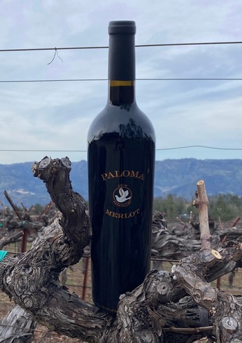 Cabernet Merlot Blend 2019